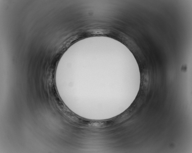 X0000114230422200911201114