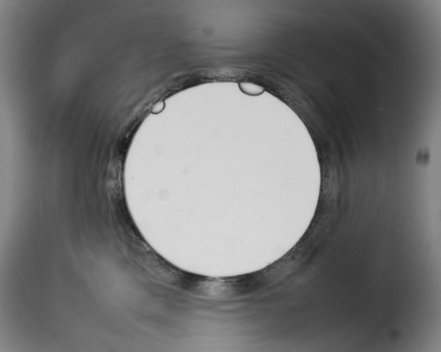 X0000114230425200911201114