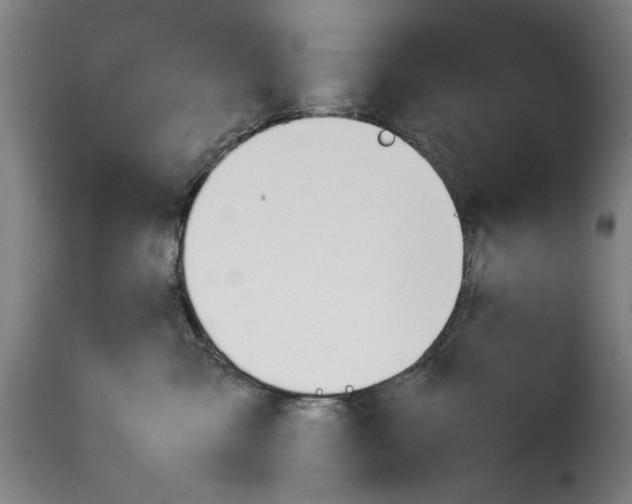 X0000114230427200911201114