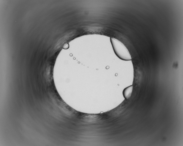 X0000114230428200911201114