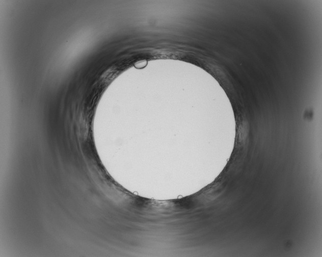X0000114230429200911201114