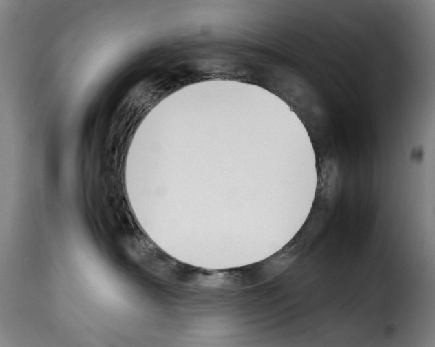 X0000114230430200911201114
