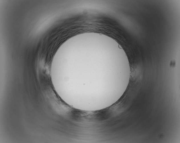 X0000114230431200911201114