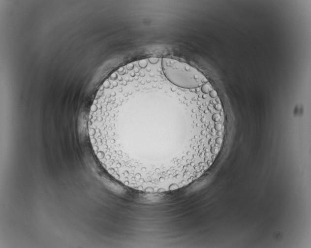 X0000114230432200911201114