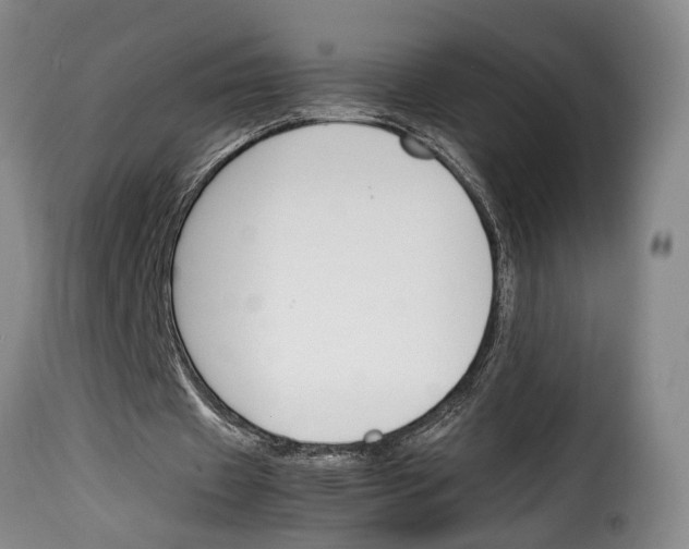 X0000114230433200911201113