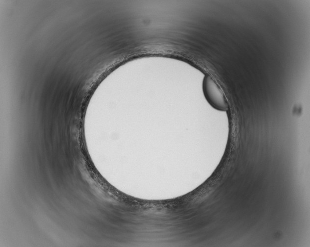 X0000114230434200911201113