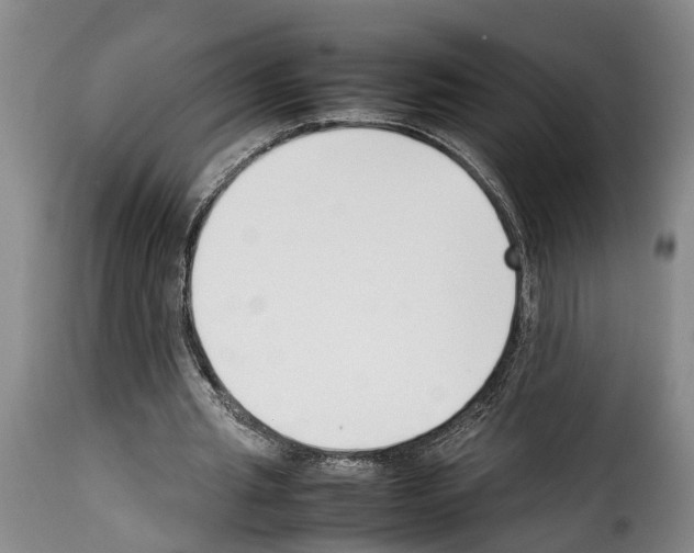 X0000114230437200911201113