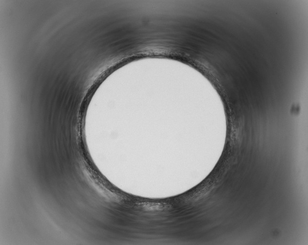 X0000114230439200911201113