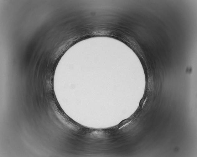 X0000114230441200911201113