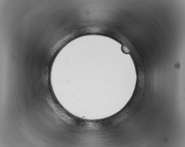 X0000114230442200911201113