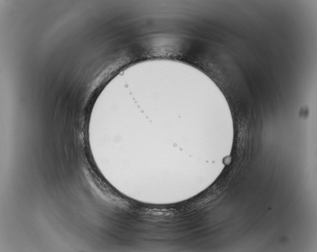 X0000114230443200911201113
