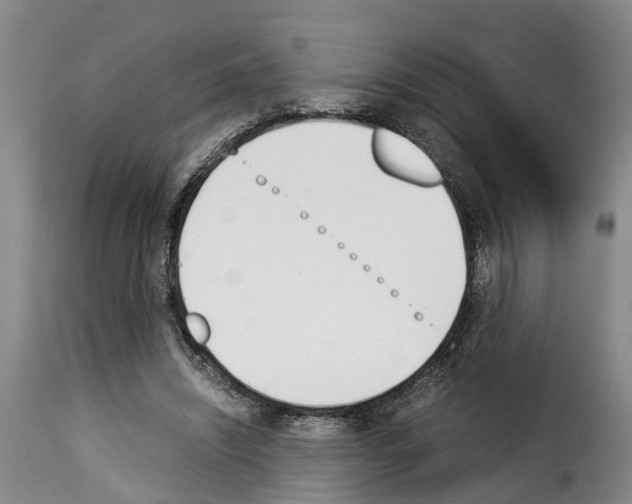 X0000114230444200911201113