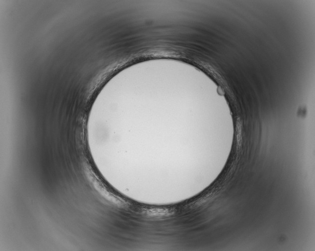 X0000114230445200911201113