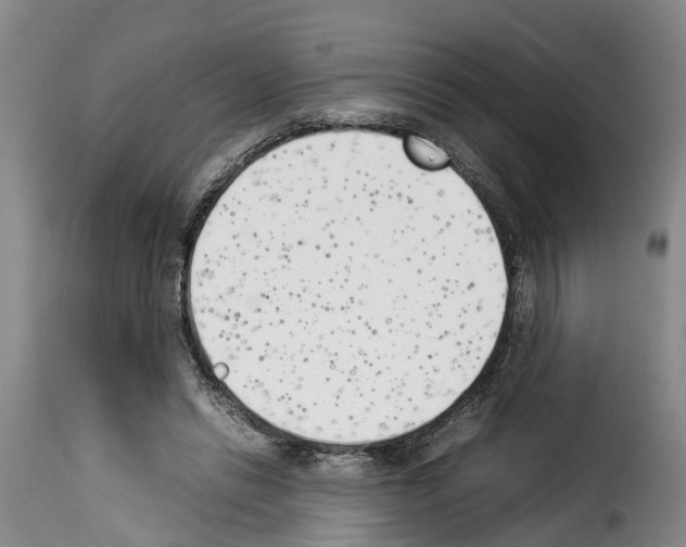 X0000114230446200911201113