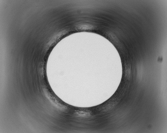 X0000114230447200911201113