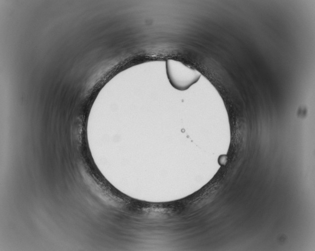 X0000114230448200911201113