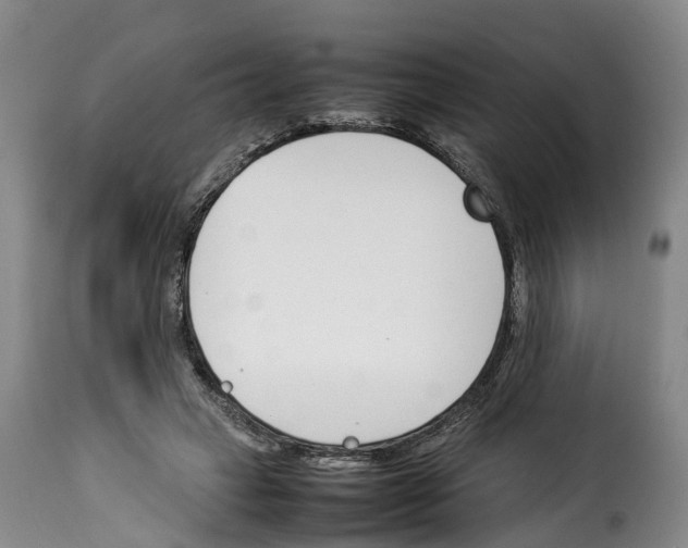 X0000114230449200911201113