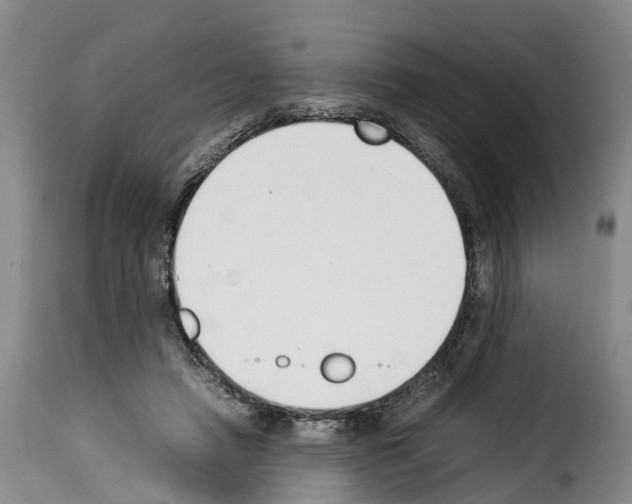 X0000114230450200911201113