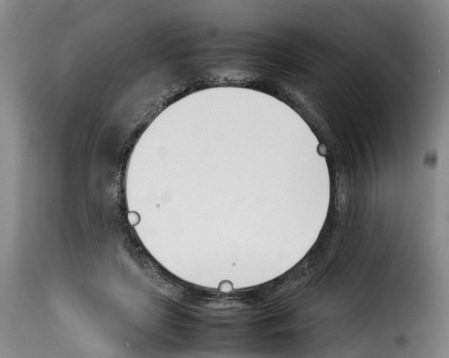 X0000114230451200911201113