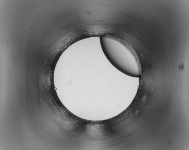 X0000114230452200911201113