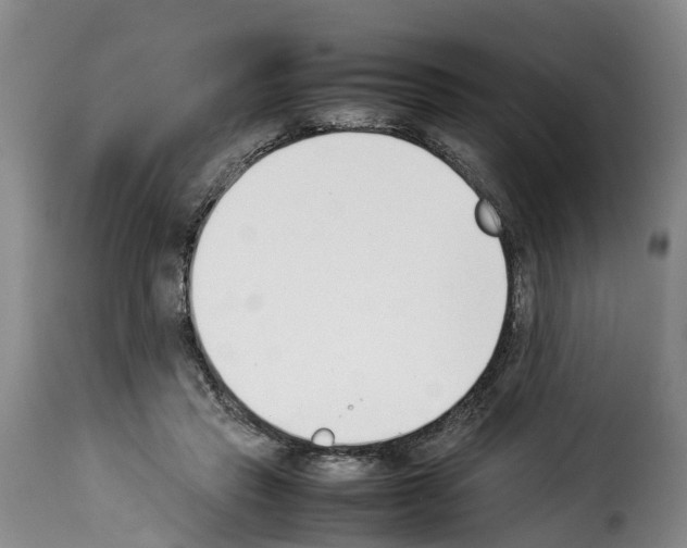 X0000114230453200911201113