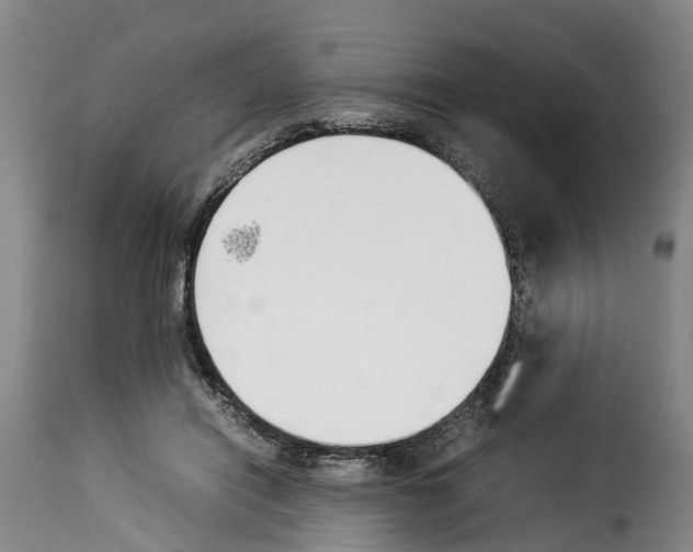 X0000114230454200911201113