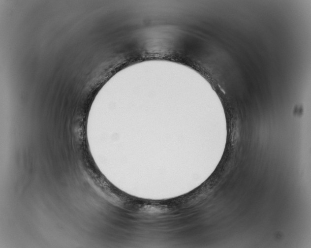 X0000114230455200911201113