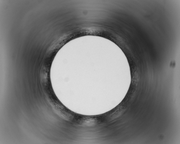 X0000114230456200911201113