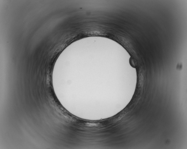 X0000114230457200911201113