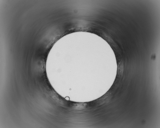 X0000114230474200911201114