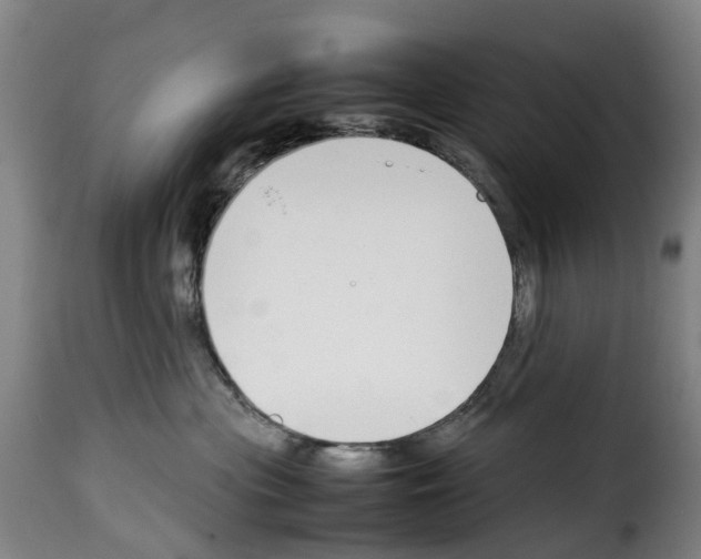 X0000114230477200911201114