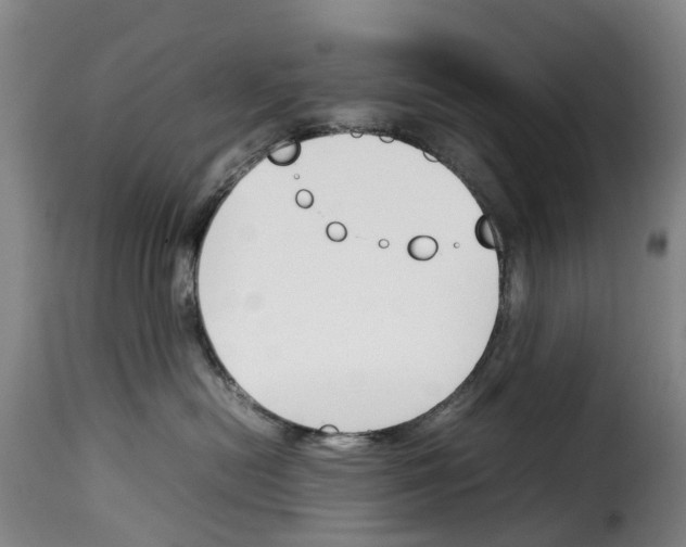 X0000114230478200911201114