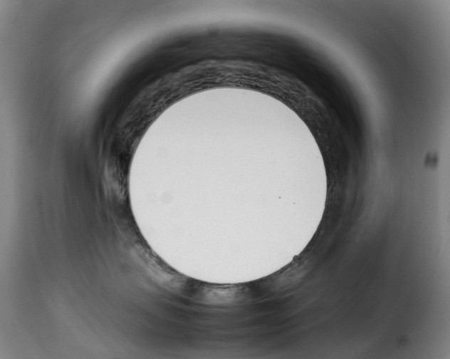 X0000114230479200911201114