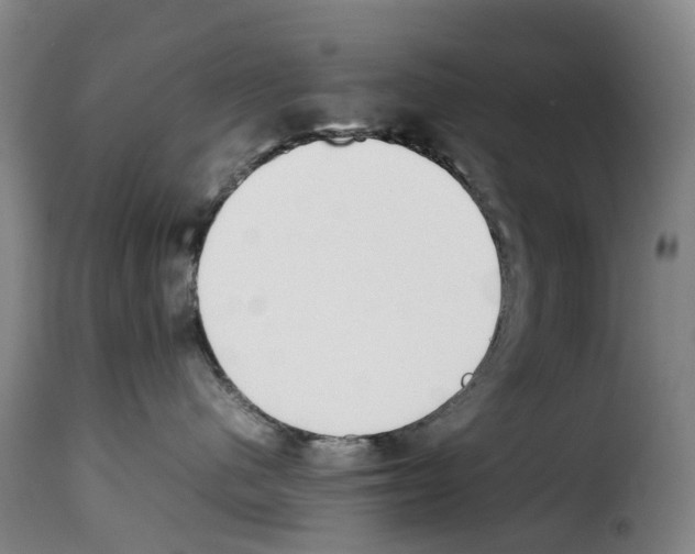X0000114230480200911201114