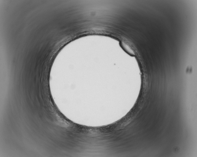 X0000114230481200911201113