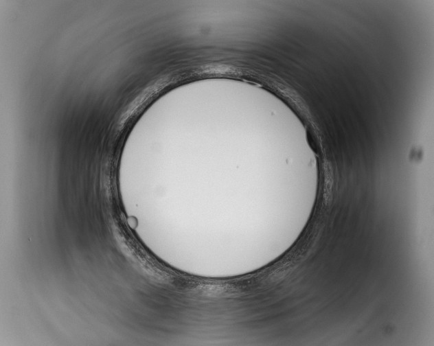 X0000114230482200911201113