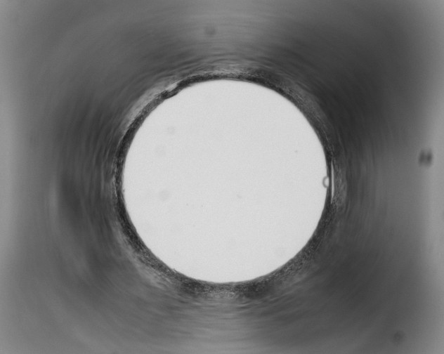 X0000114230483200911201113
