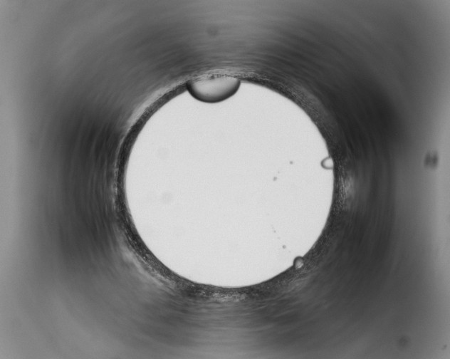 X0000114230484200911201113