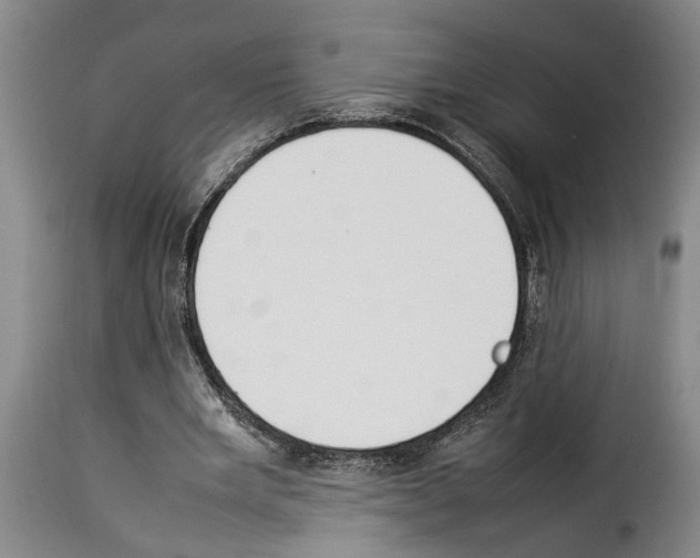 X0000114230485200911201113