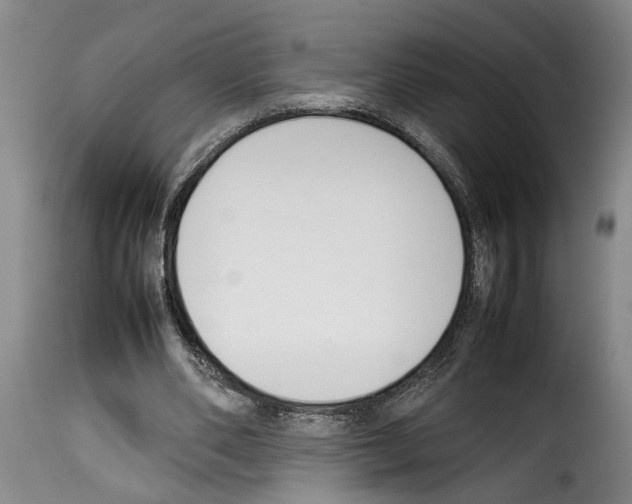 X0000114230486200911201113