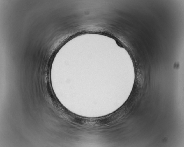 X0000114230487200911201113