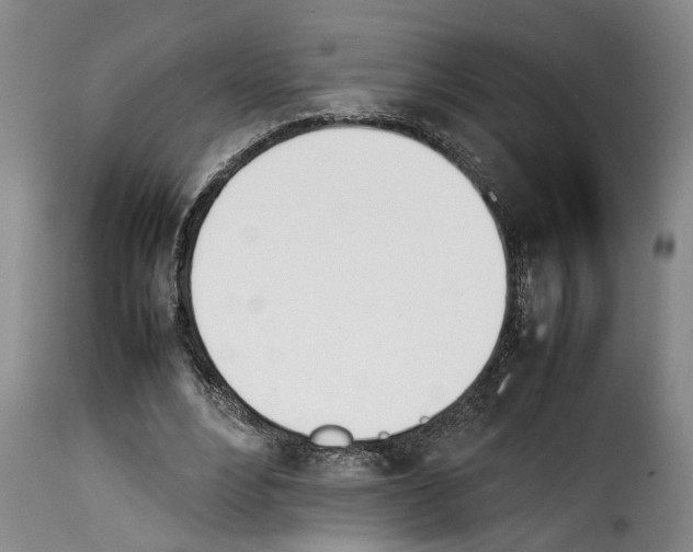 X0000114230488200911201113