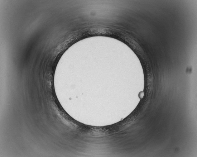 X0000114230489200911201113