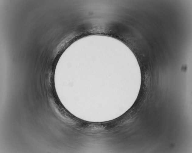 X0000114230491200911201113