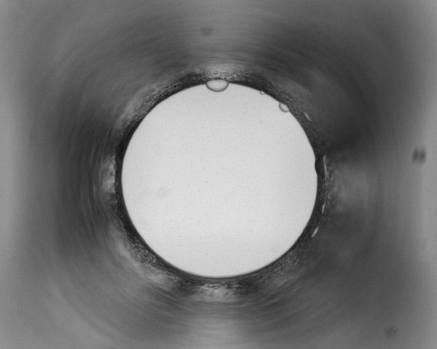 X0000114230502200911201113