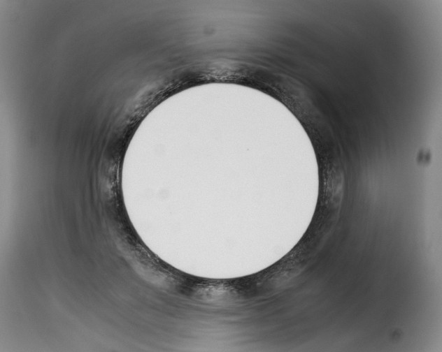 X0000114230503200911201113