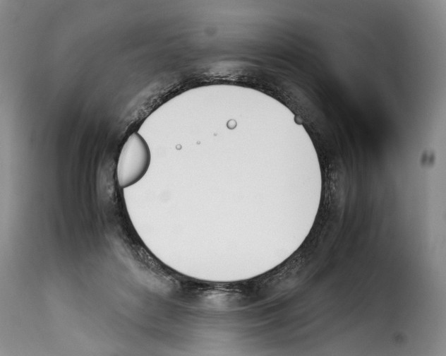 X0000114230504200911201113