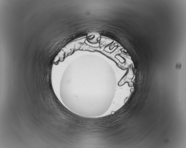 X0000114230505200911201113