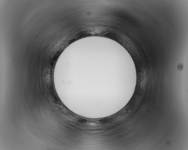 X0000114230510200911201113