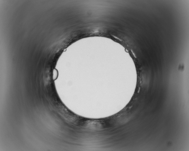 X0000114230520200911201112